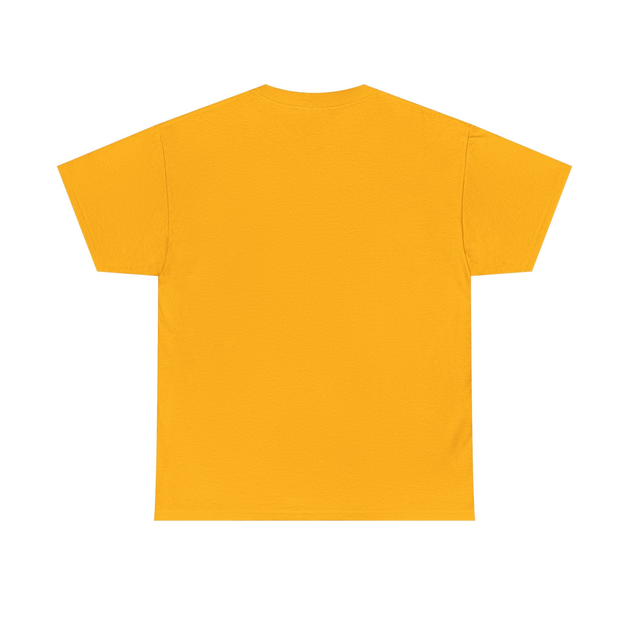 AFOL University T-Shirt — Light Tees