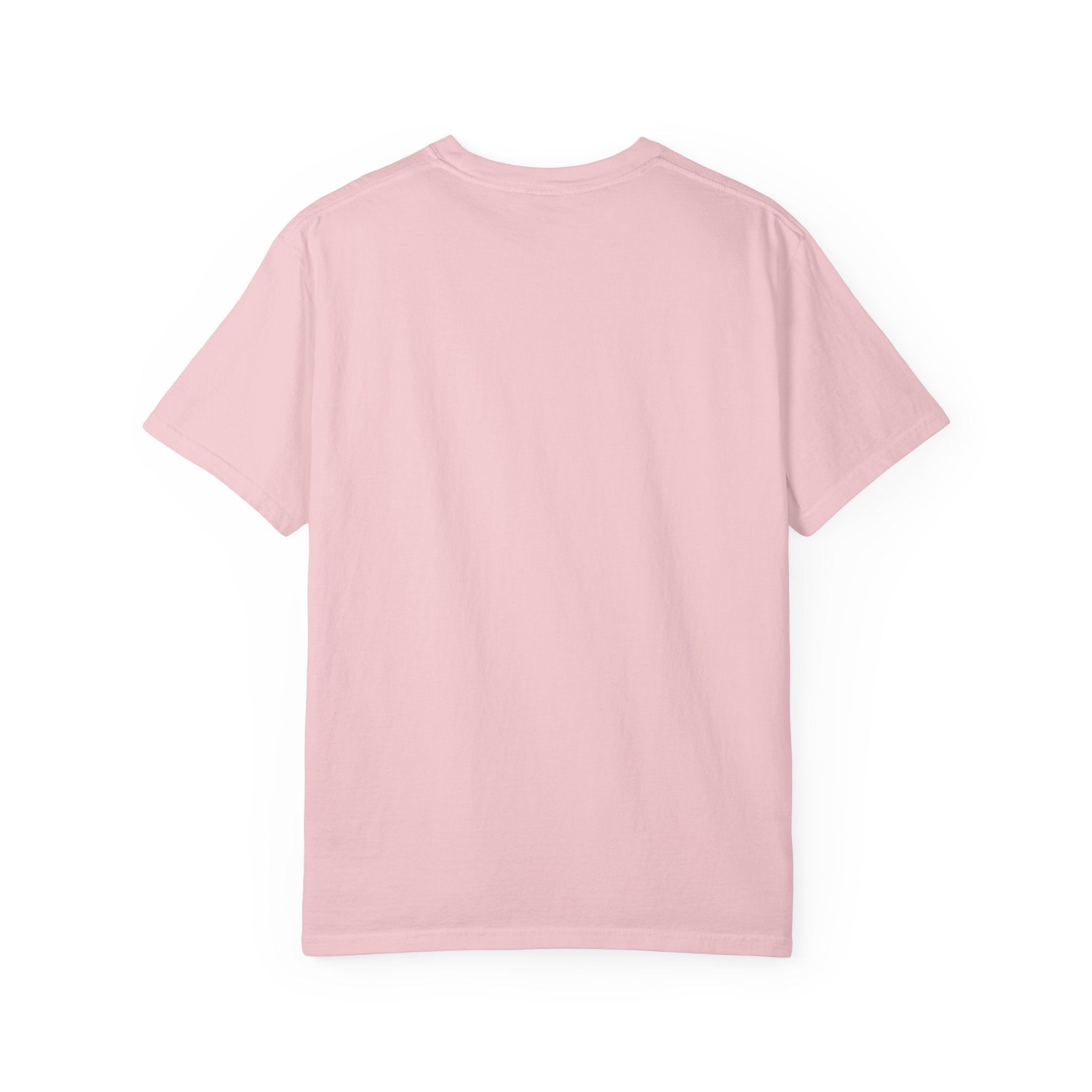 AFOL T-Shirt Classic — Light Tees