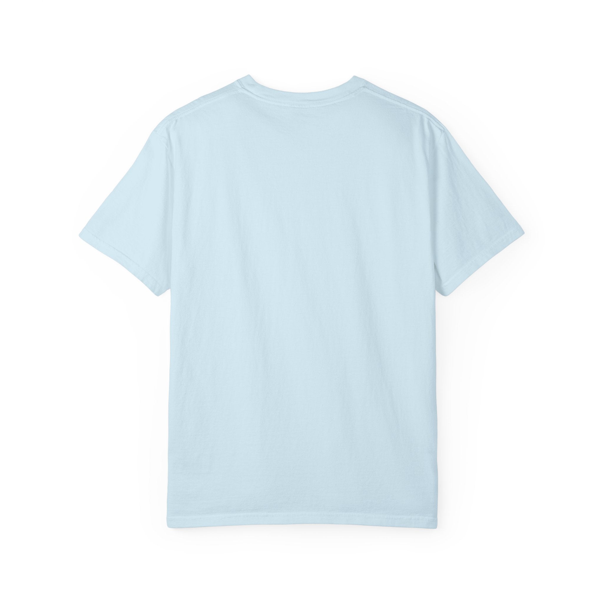 AFOL T-Shirt Classic — Light Tees