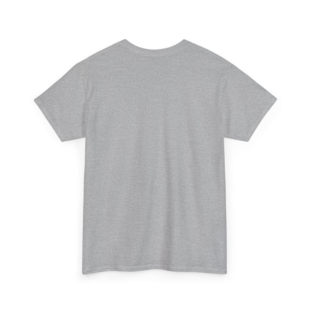 AFOL University T-Shirt — Light Tees