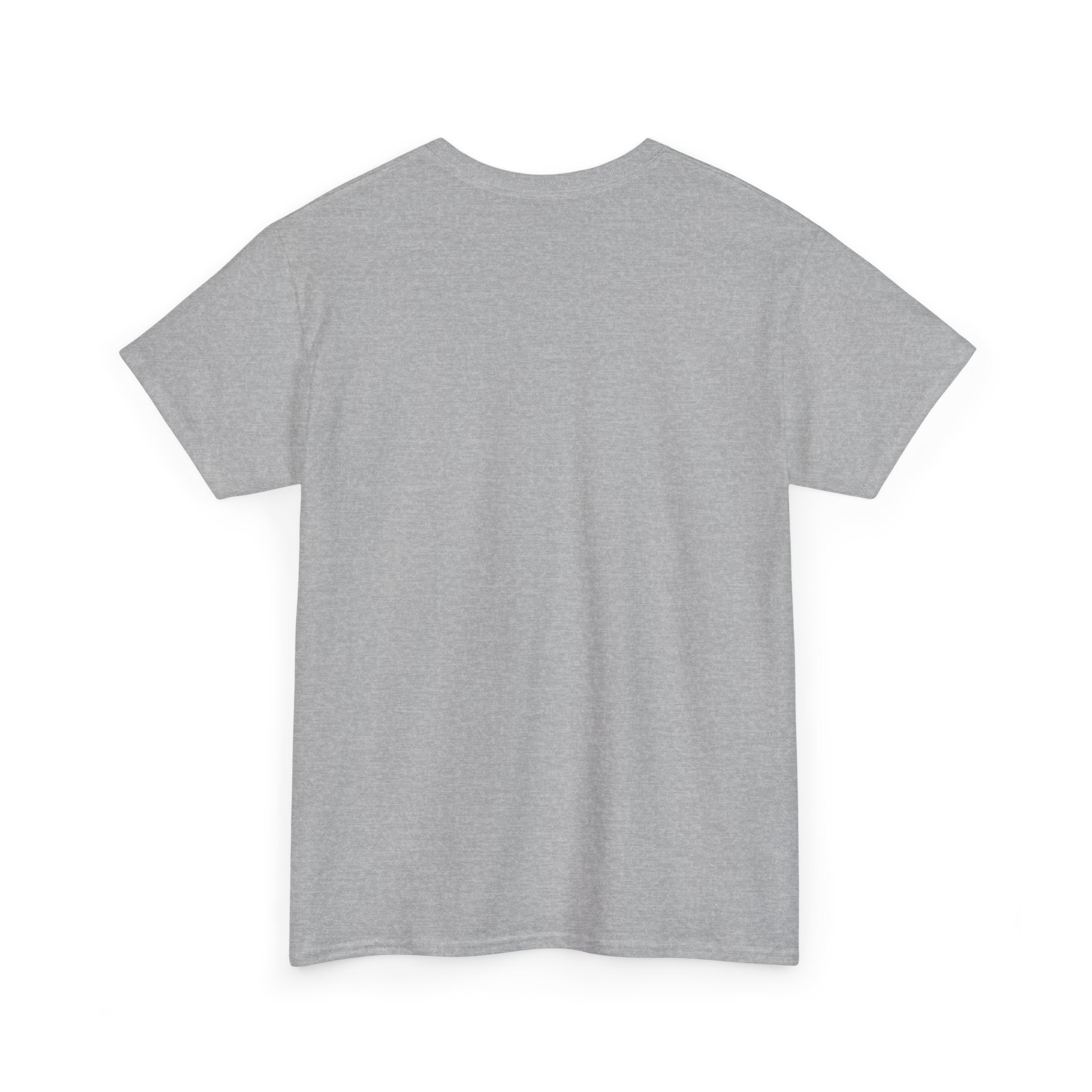 AFOL University T-Shirt — Light Tees