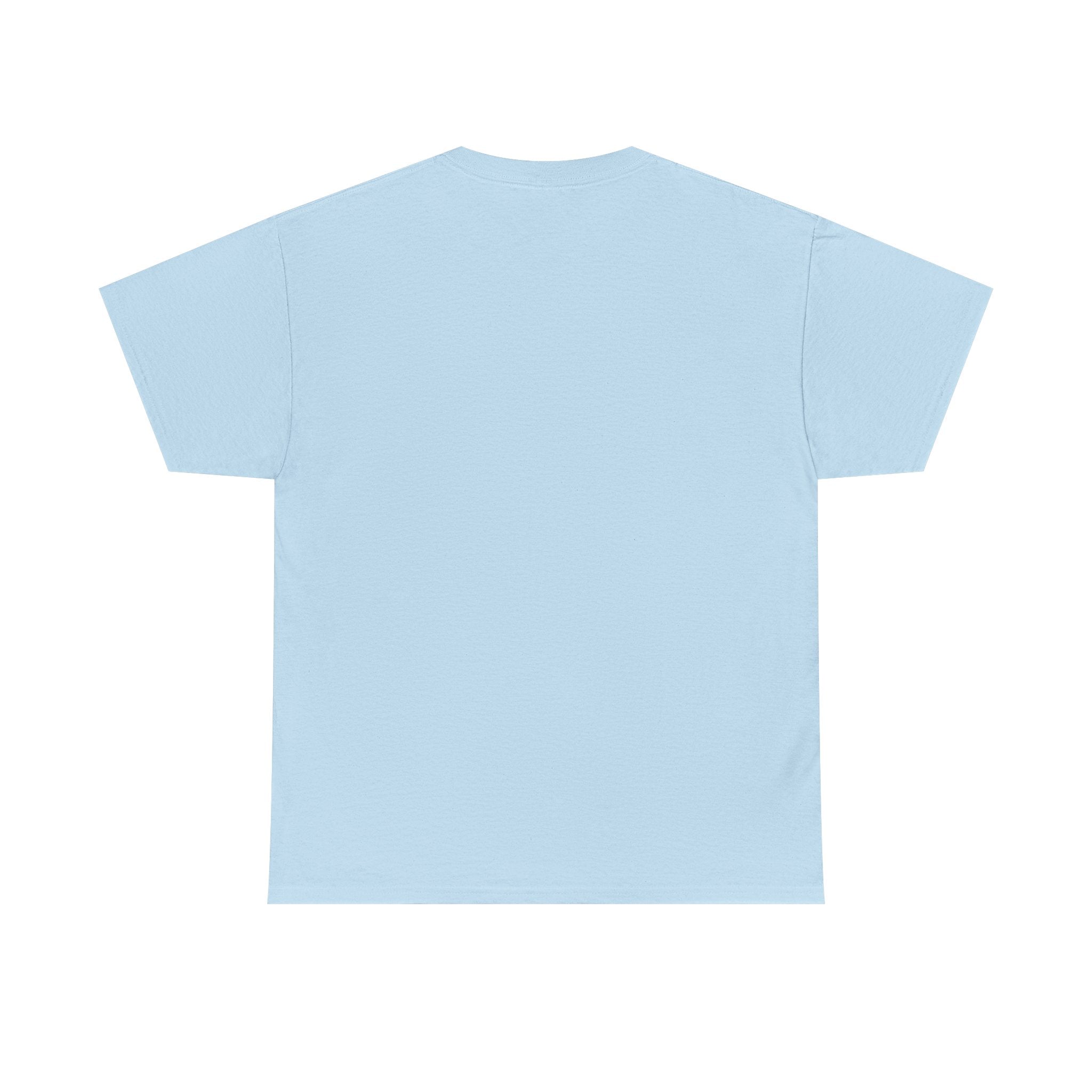 AFOL University T-Shirt — Light Tees