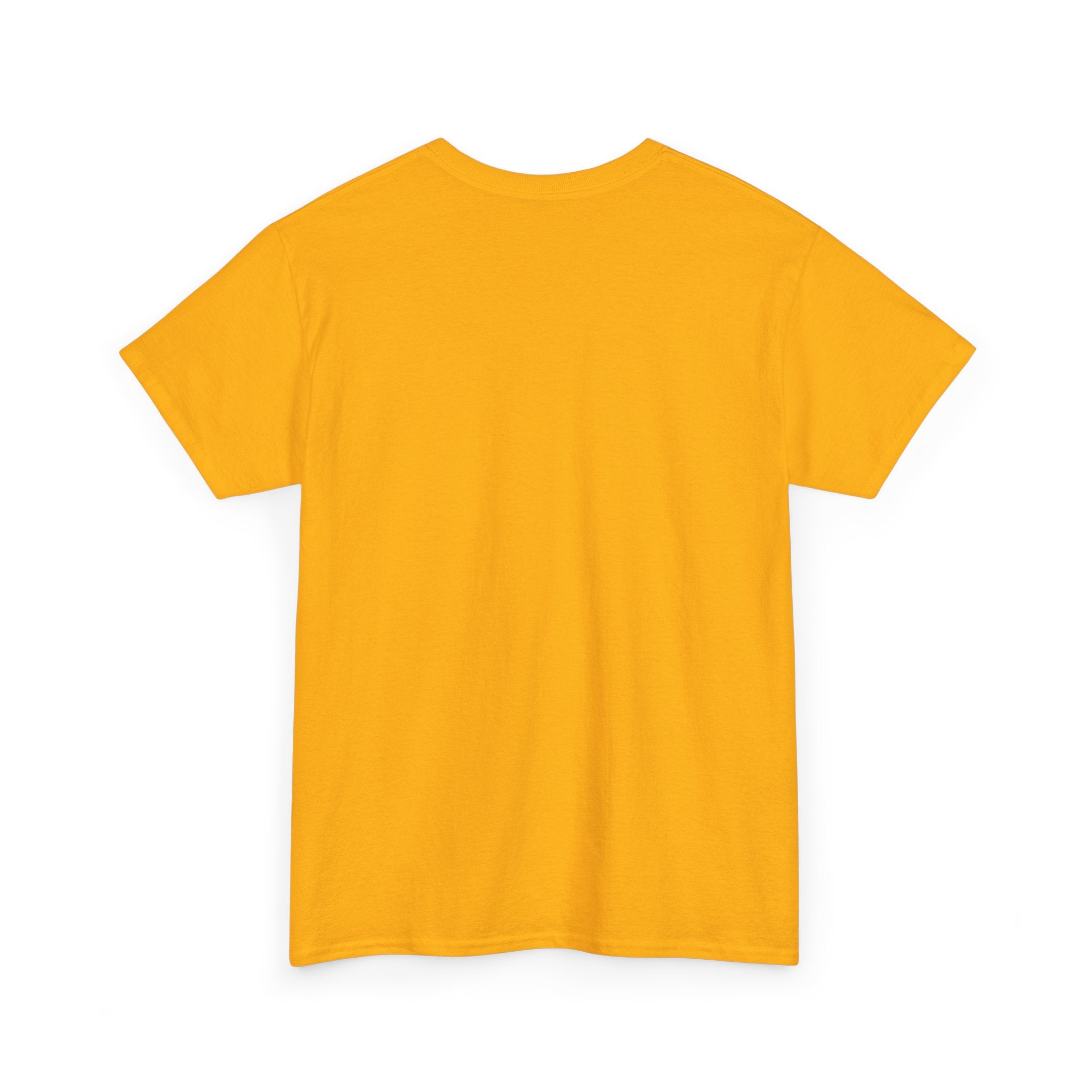 AFOL University T-Shirt — Light Tees