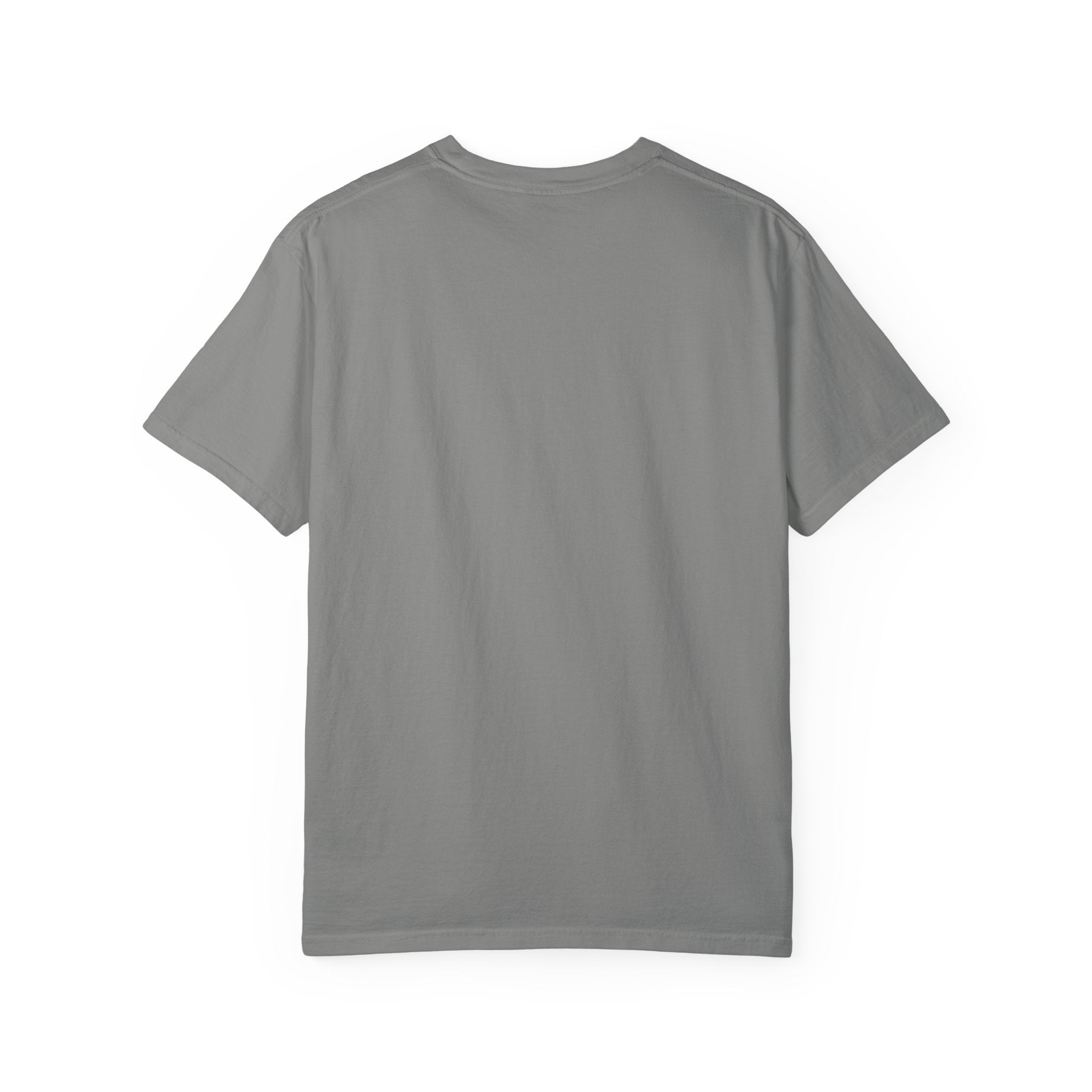 AFOL T-Shirt Classic — Light Tees