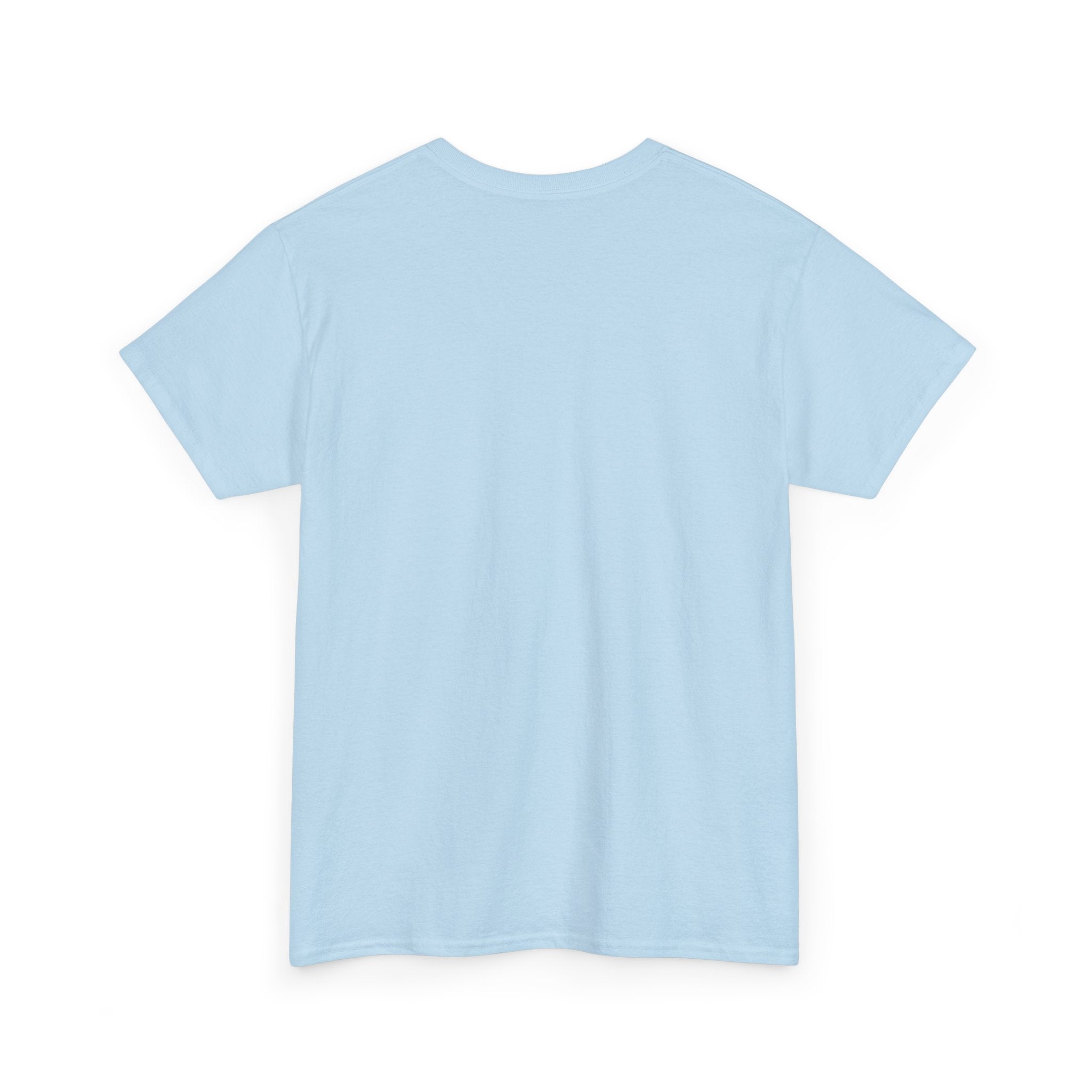 AFOL University T-Shirt — Light Tees