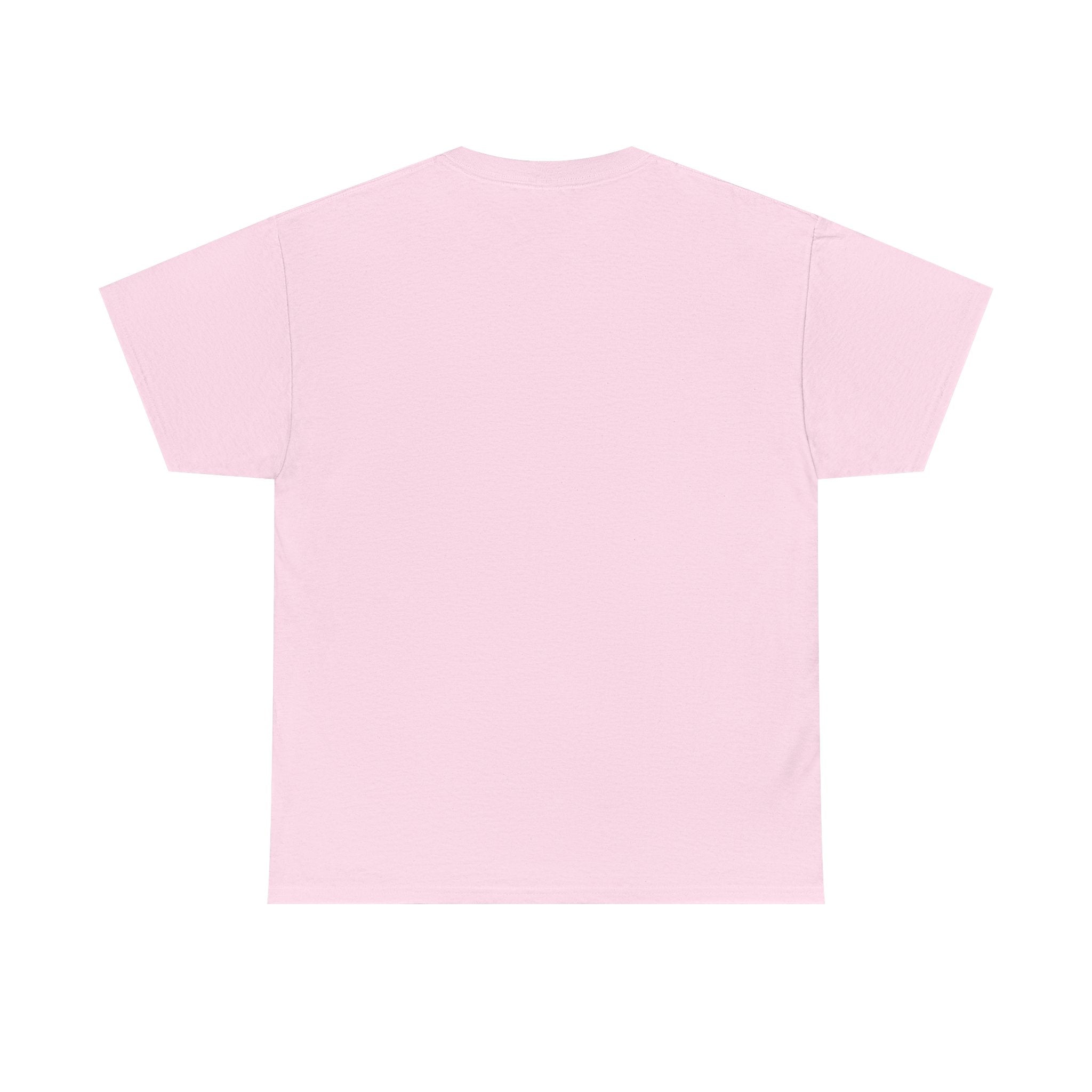 AFOL University T-Shirt — Light Tees