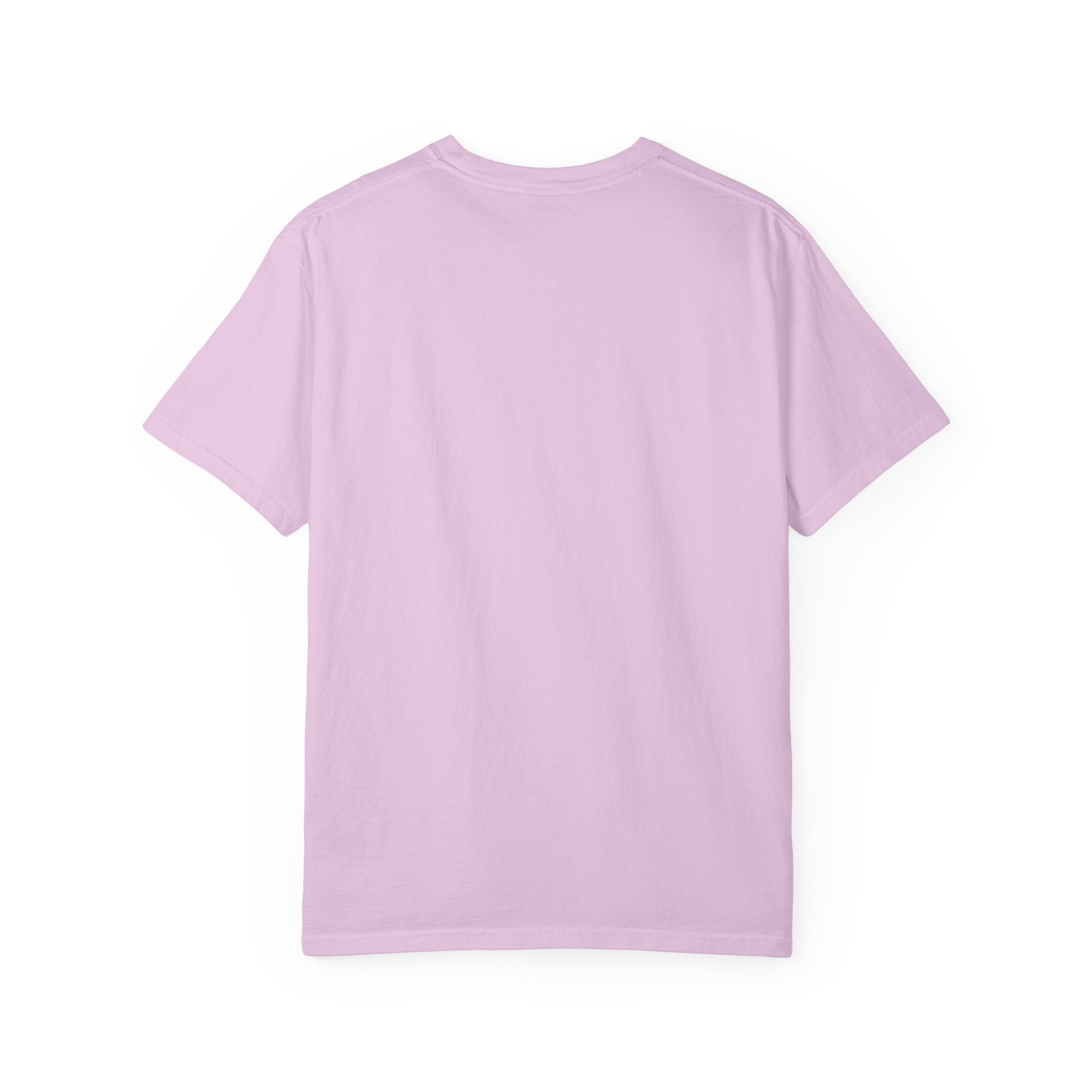 AFOL T-Shirt Classic — Light Tees