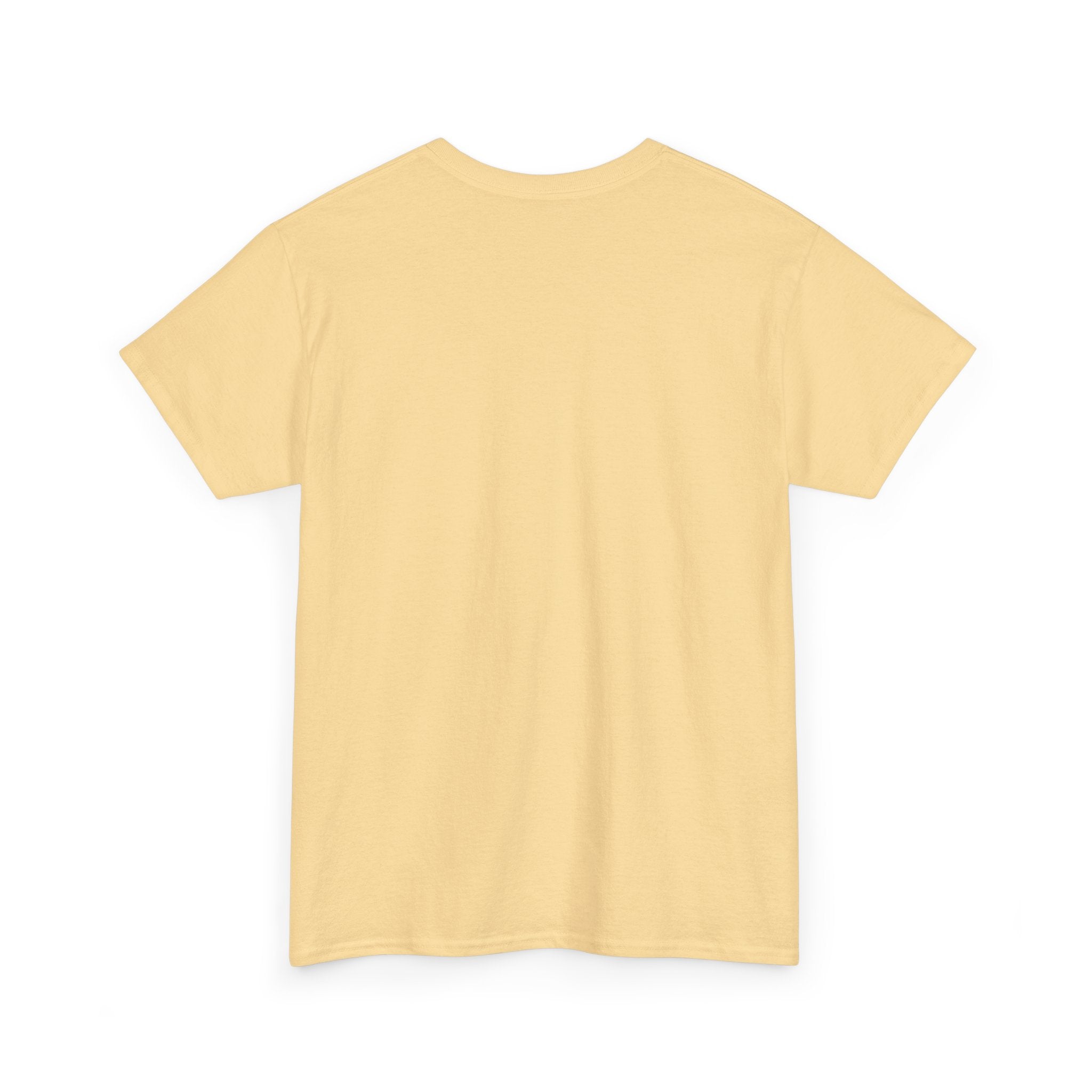 AFOL University T-Shirt — Light Tees