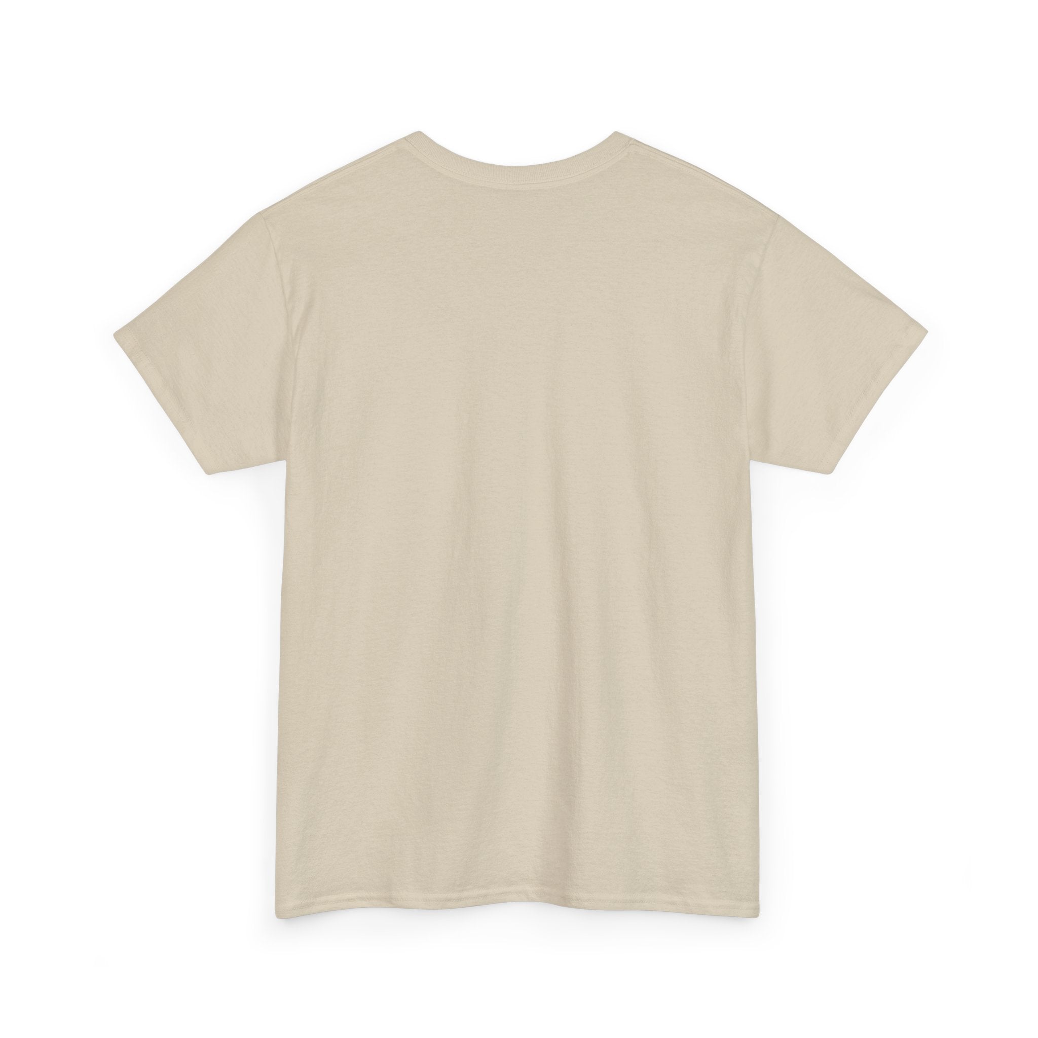 AFOL University T-Shirt — Light Tees