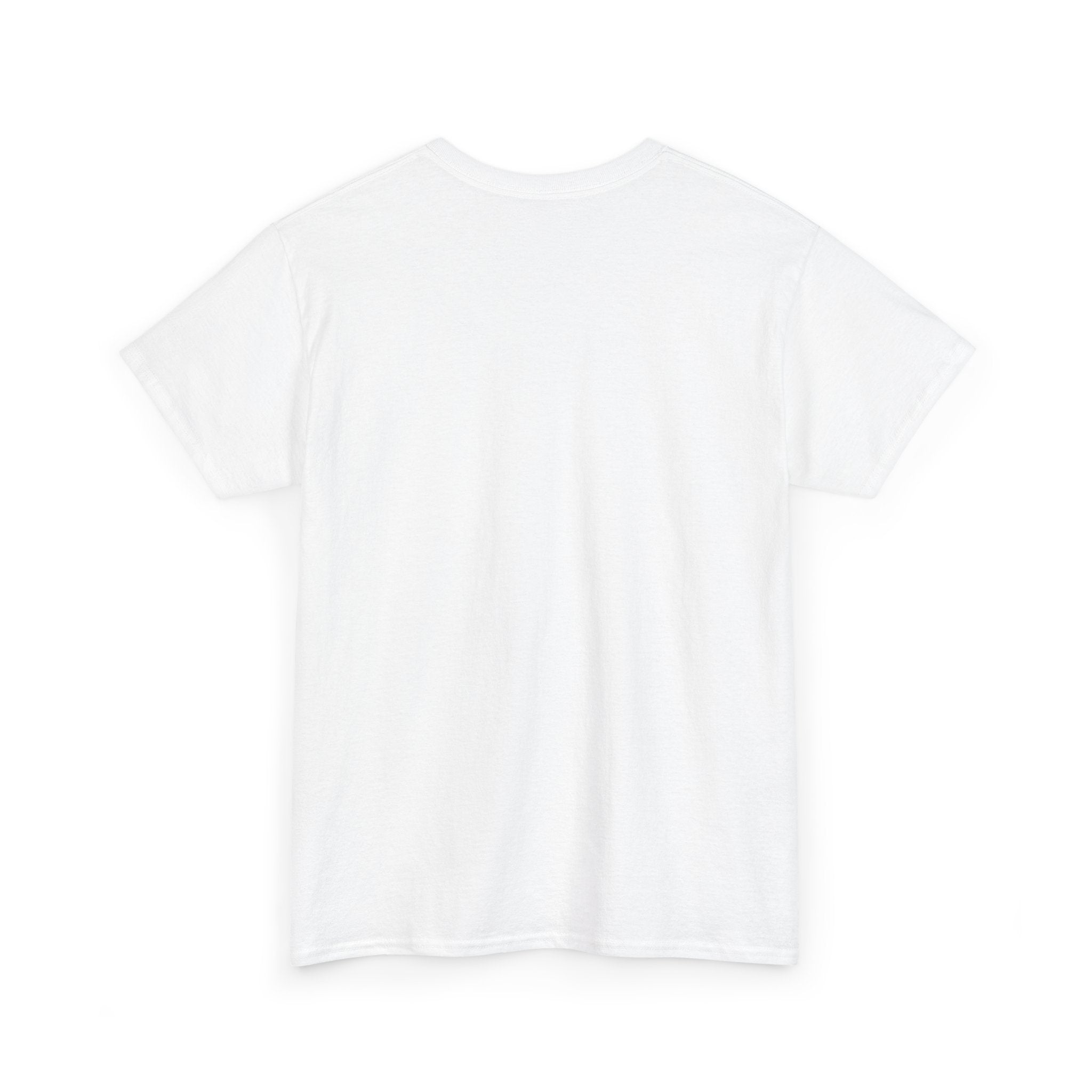AFOL University T-Shirt — Light Tees