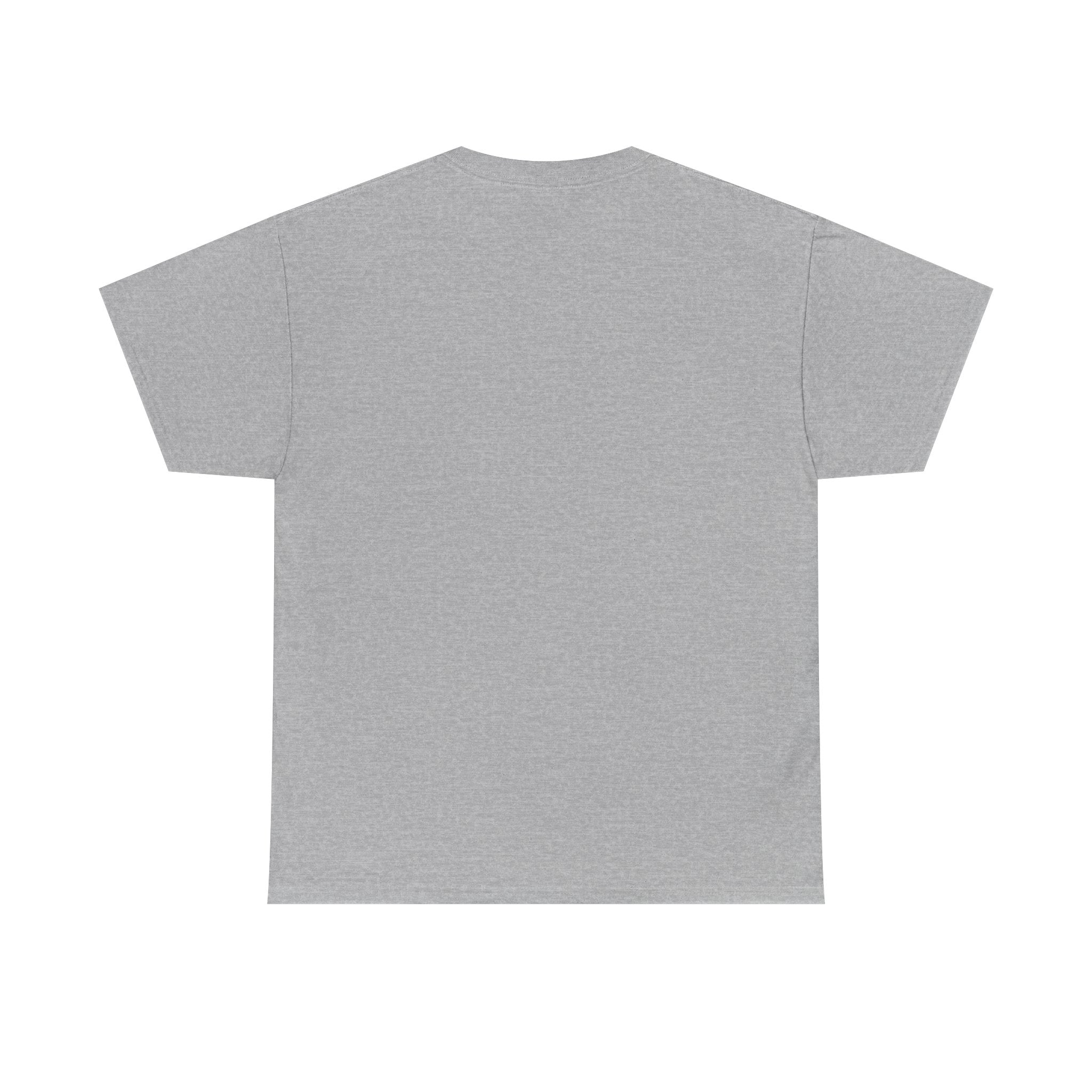 AFOL University T-Shirt — Light Tees